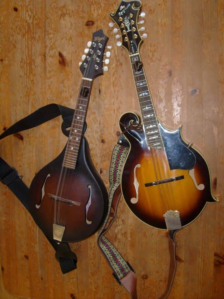 Afbeelding bij mandoline akkoorden en mandoline les . Plaatje van 2 mandolines