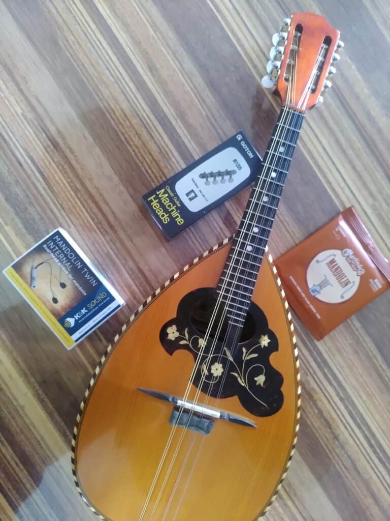 upgrade van mandoline met k&k element, snaren en stemmechanieken